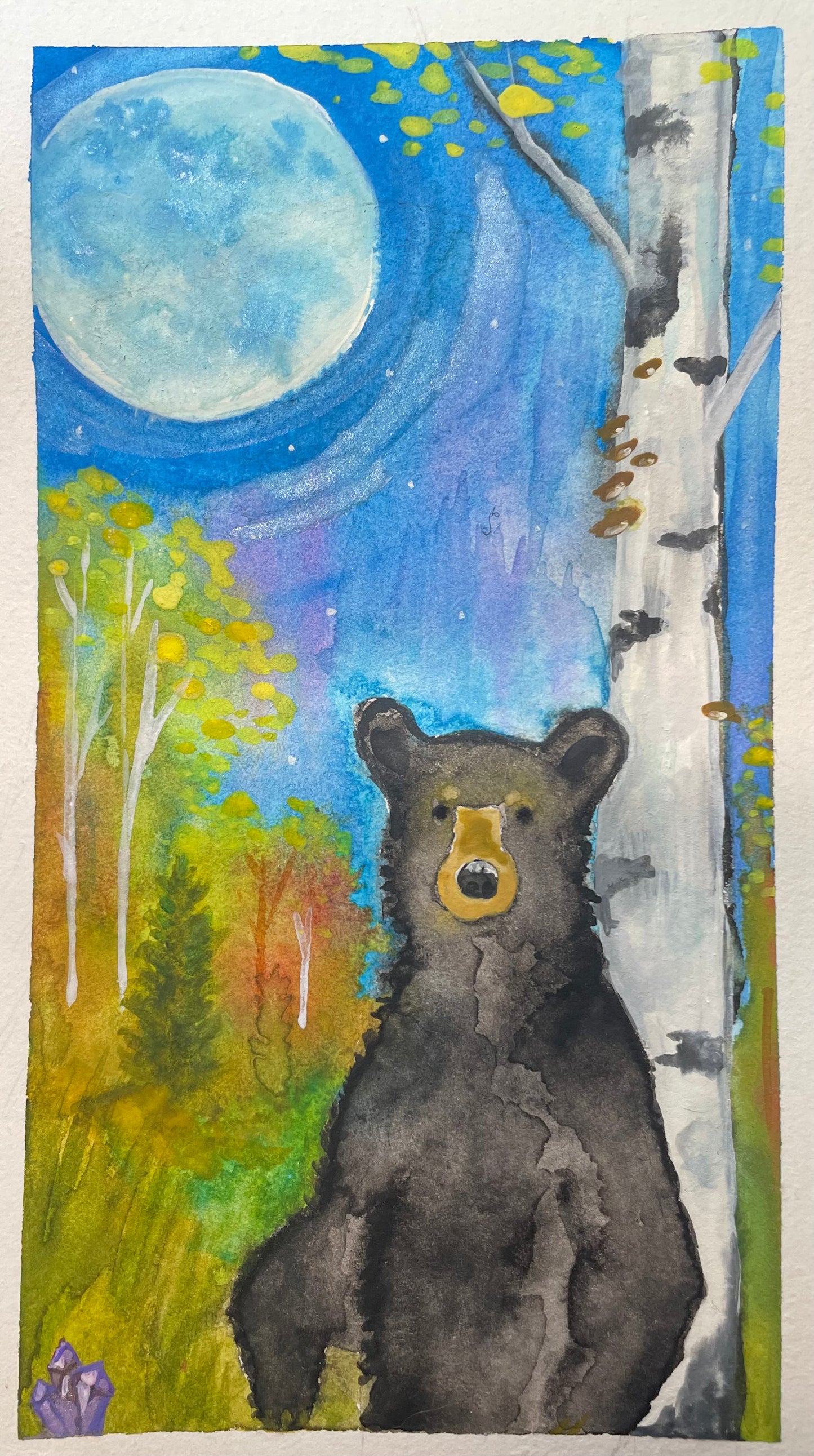 Moon 🌖 Bear