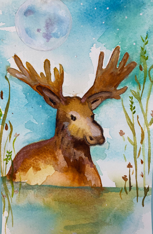 Friend of the Forest